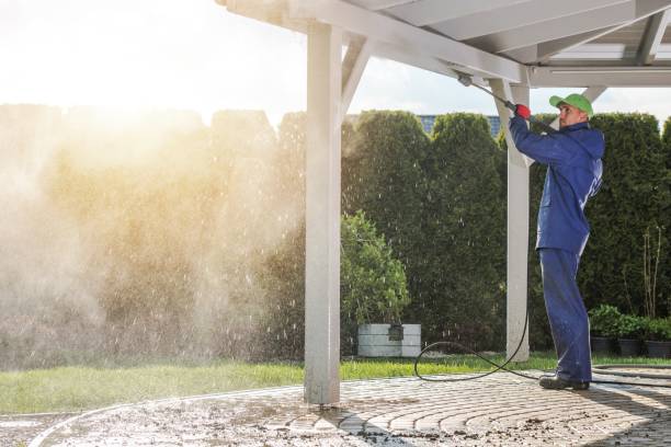 Best Gutter Cleaning  in Naples Manor, FL