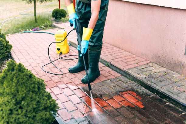 Best Spring Cleaning  in Naples Manor, FL